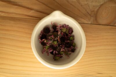 ΕΧΙΝΑΚΕΙΑ 1