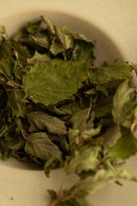 ΜΕΛΙΣΣΟΧΟΡΤΟ 1