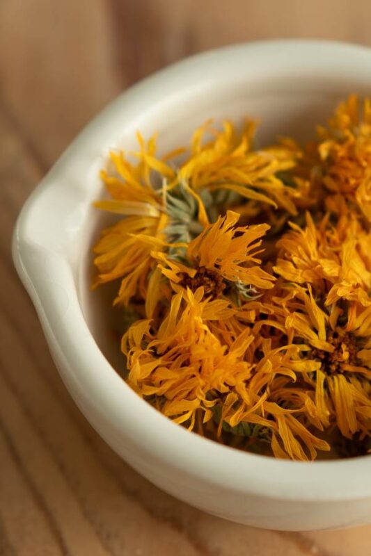 ΚΑΛΕΝΤΟΥΛΑ 3