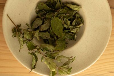 ΜΕΛΙΣΣΟΧΟΡΤΟ